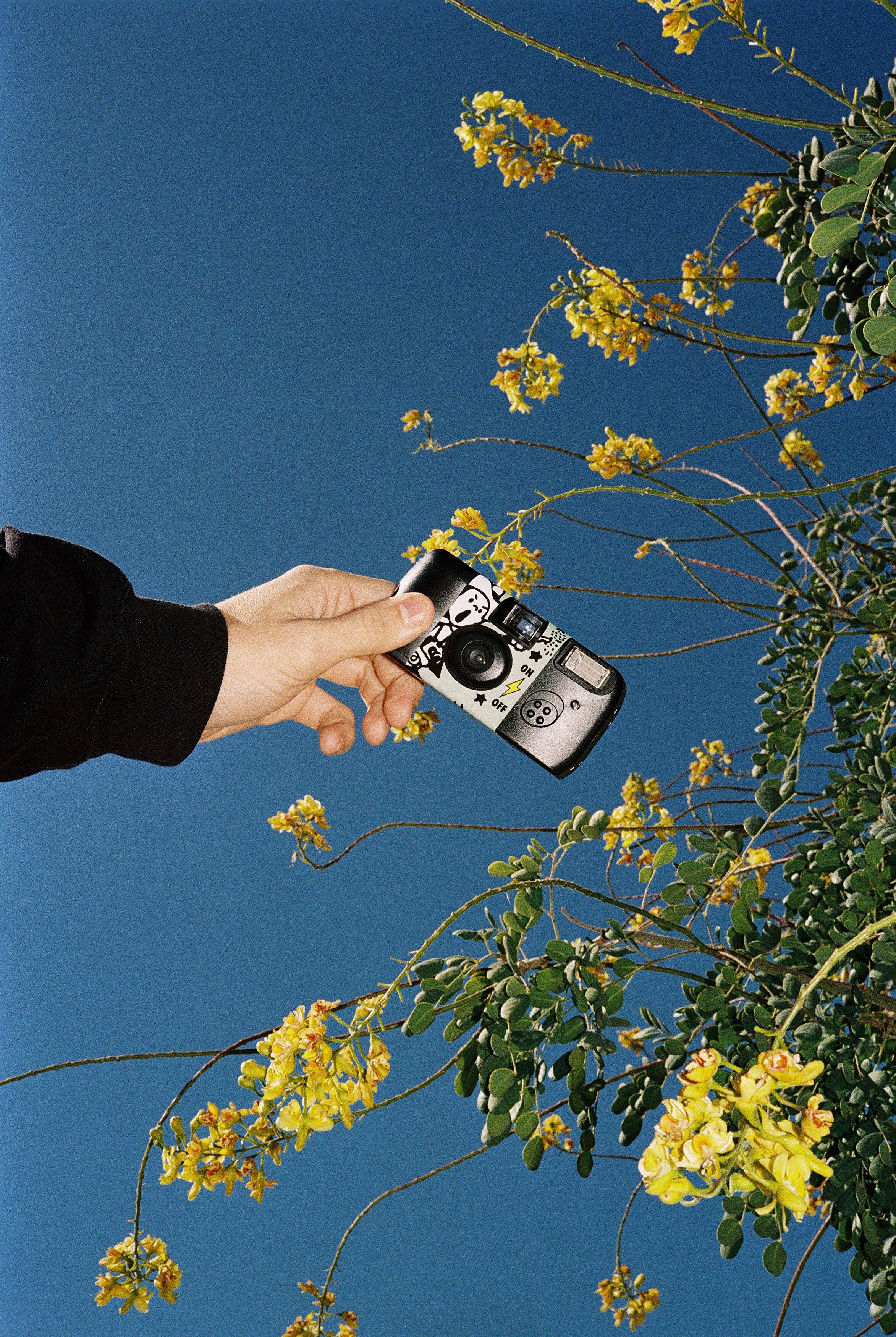 Wilson Disposable Camera | Wilson Camera